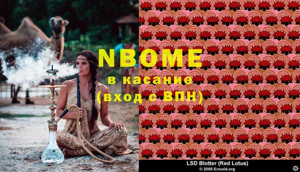 стафф Алзамай