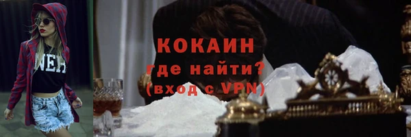 стафф Алзамай