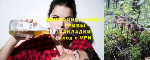 крисы Алексеевка