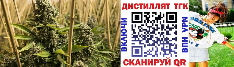 ТГК THC oil Арамиль