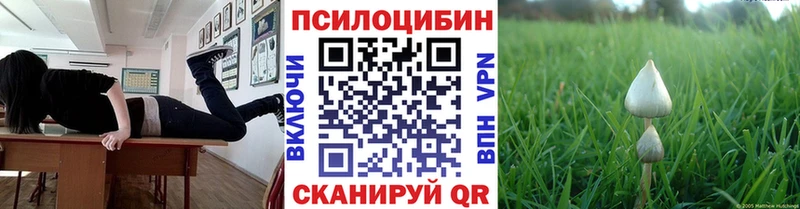 blacksprut ONION  Арамиль  Галлюциногенные грибы Psilocybine cubensis  где купить наркотик 
